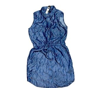 Max jeans chambray dress